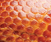 honeycomb mahogany color pattern